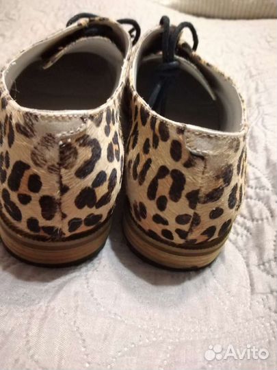 Туфли Tommy Roy