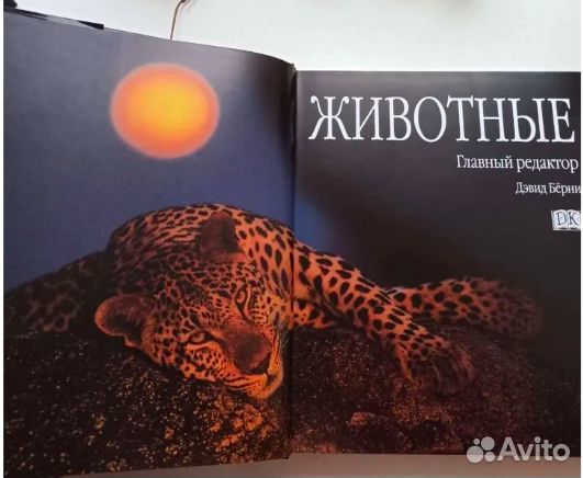 Детская энциклопедия Животные