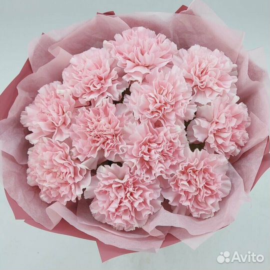 Диантус, Цветы, Букеты, Доставка