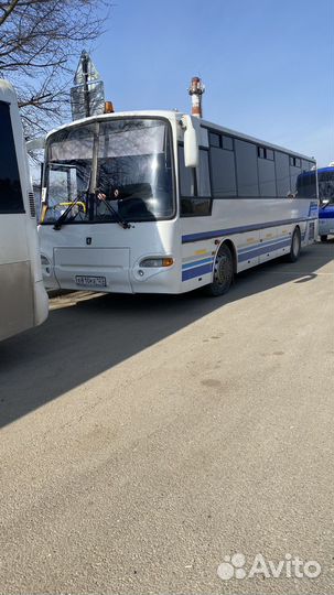 Заказной автобус
