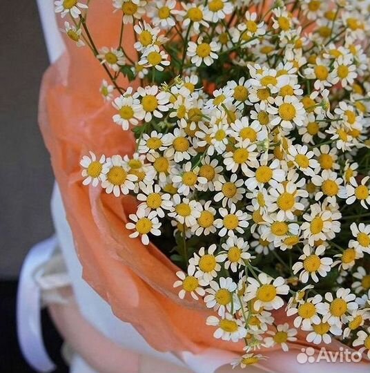 Ромашки Букет из ромашек доставка