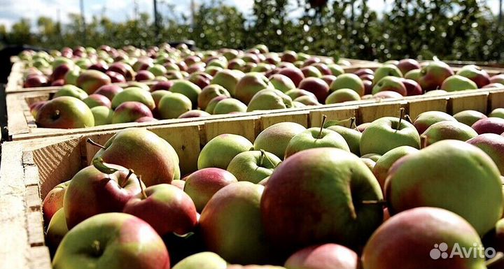 Вахта Разнорабочий