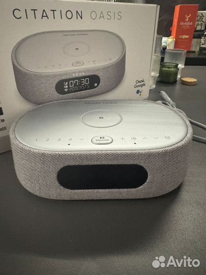 Портативная колонка Harman Kardon Citation Oasis