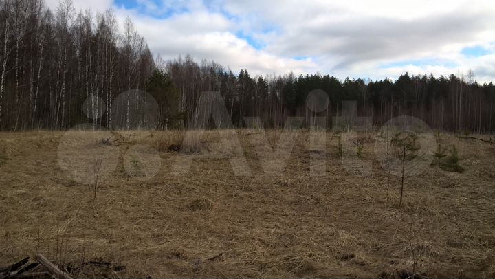 Участок 6,8 га (СНТ, ДНП)