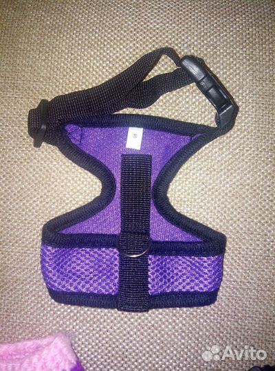 Шлейки и костюмы для маленьких собак