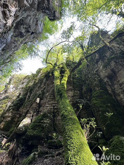 Йога поход на Сухой каньон