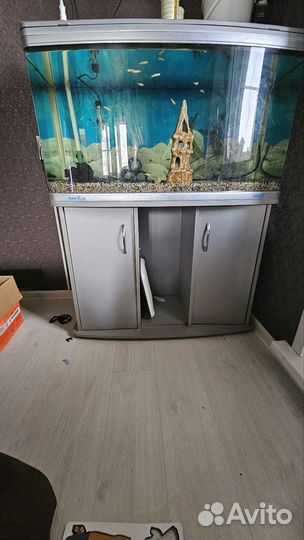 Аквариум 280л