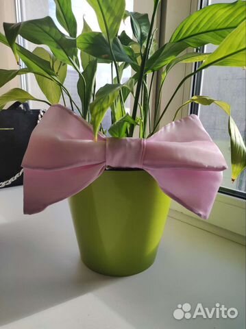 Бант большой на заколке к костюму 