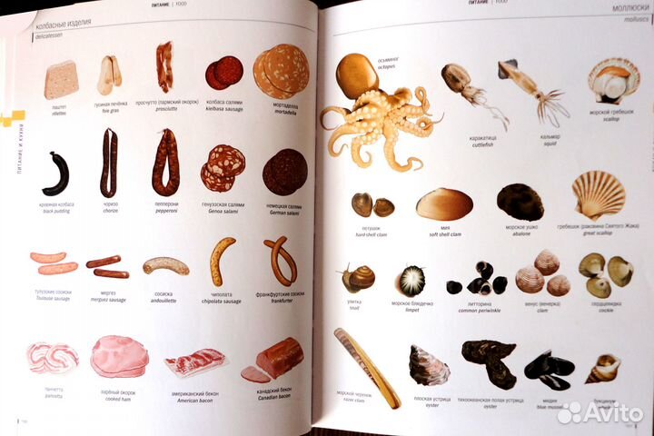 Русско-английский визуальный словарь