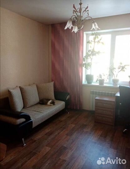 Котоняня, домашняя гостиница для кошек