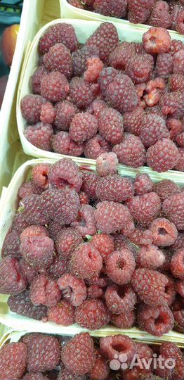 Малина отборная вкусная сладкая из Белоруссии