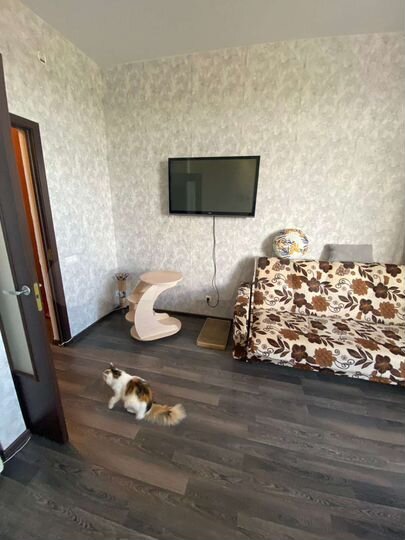 Апартаменты-студия, 23,7 м², 3/5 эт.