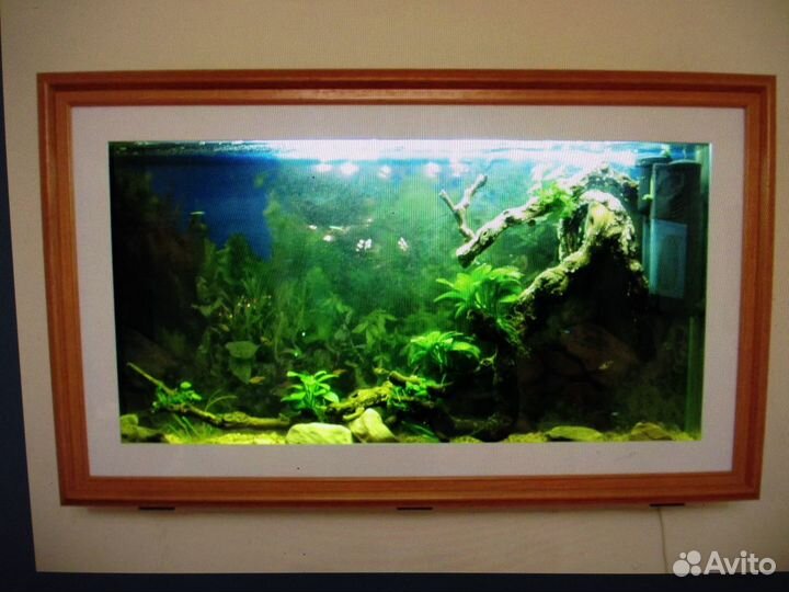 Аквариум