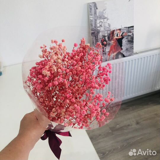 Стабилизированная гипсофила