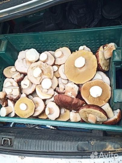 Варенье, ягоды, грибы, мёд, хреновина