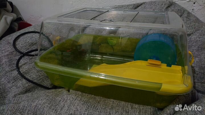 Клетка для хомяка с дефектом