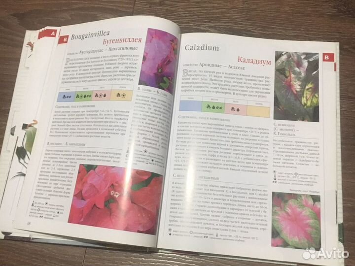 Библия комнатнах растений