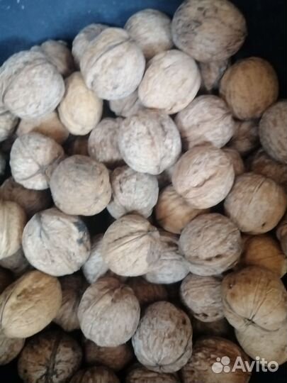 Сухофрукты, консервация, заморозка, орехи, яблоки