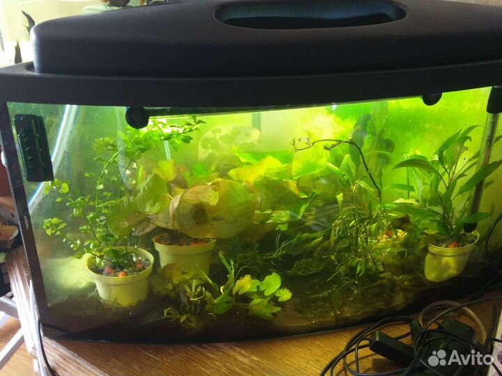 Аквариум угловой
