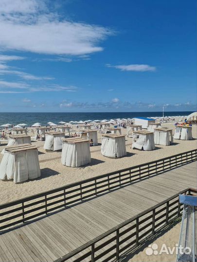 Аренда авто с водителем.Трансфер.Трезвый водитель