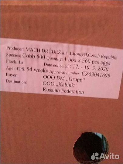 Инкубационное яйцо (импорт) бройлер, индейка, утка