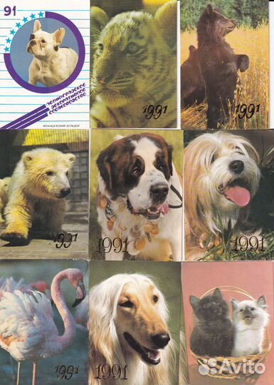 Карманные календарики 1991гг