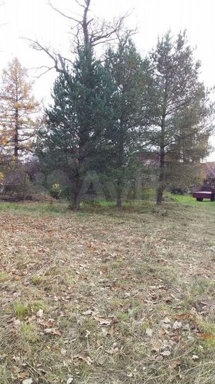 Участок 12 сот. (СНТ, ДНП)