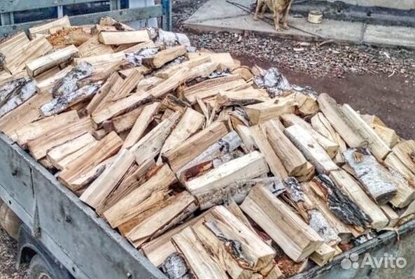 Дрова березовые