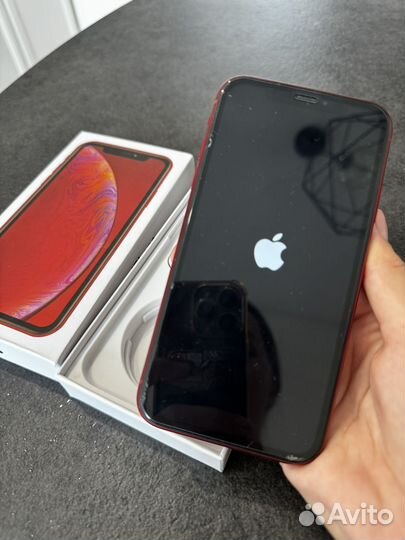 iPhone Xr, 256 ГБ