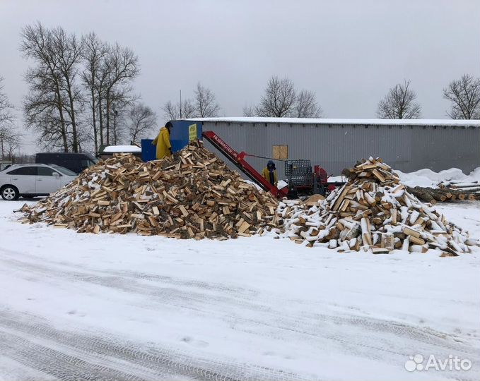 Дрова сырые для дачи