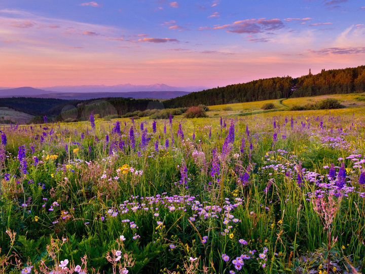 Участок 6,32 га (СНТ, ДНП)