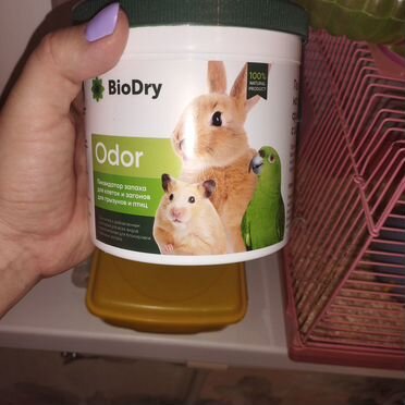 Хомяк с клеткой