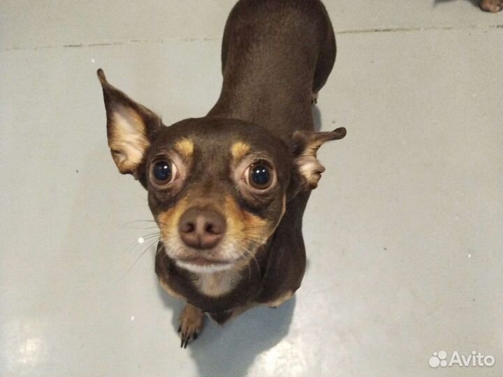 Мальчик ищет девочку