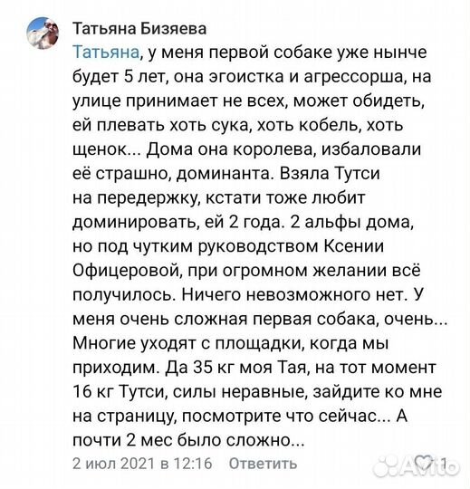 Дрессировка и зоогостиница