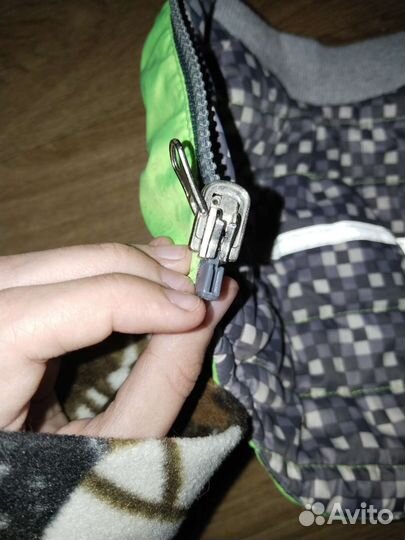 Желтка на миниатюрных животных размер S