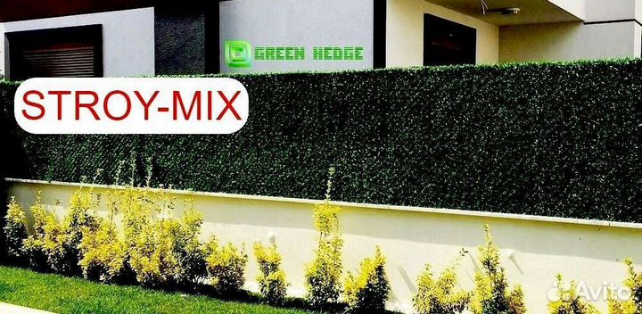 Калифорнийская изгородь