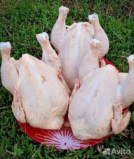 Корнишоны домашние свежие