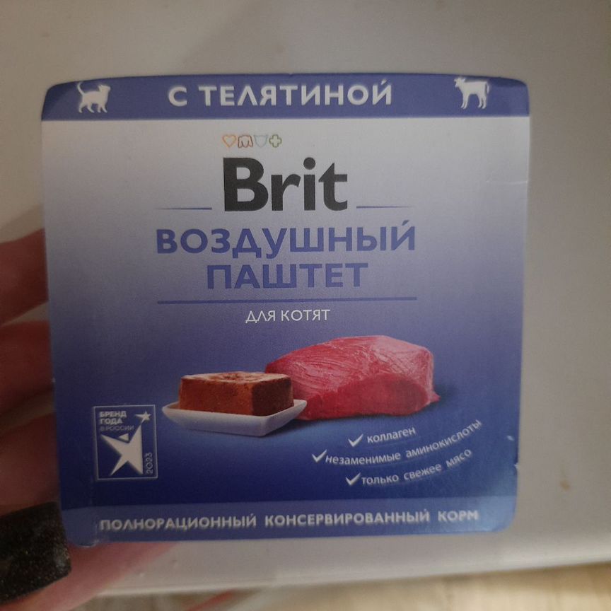 Корм для котят 8 пачек паштет brit