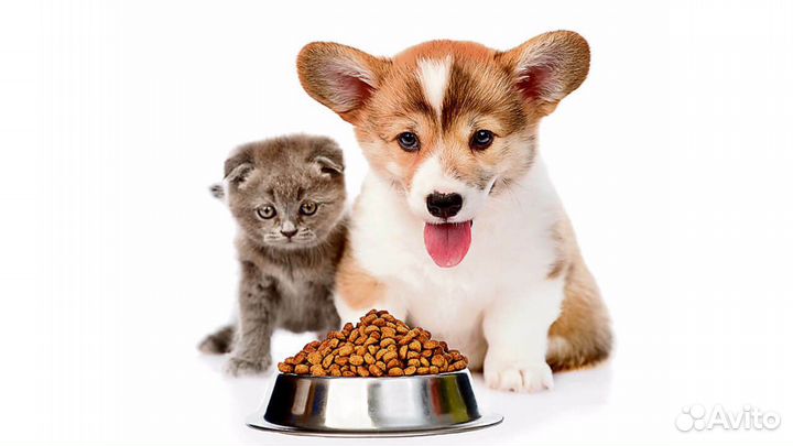 Корм для кошек и собак в Незнамово