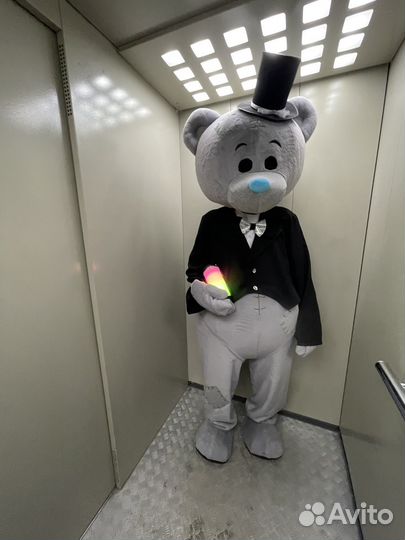 Мишка тедди