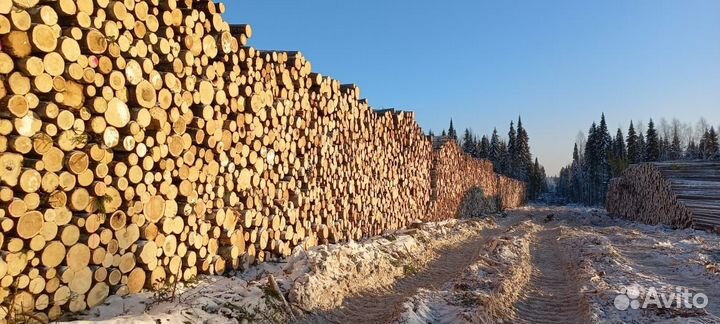 Водитель на Урал лесовоз