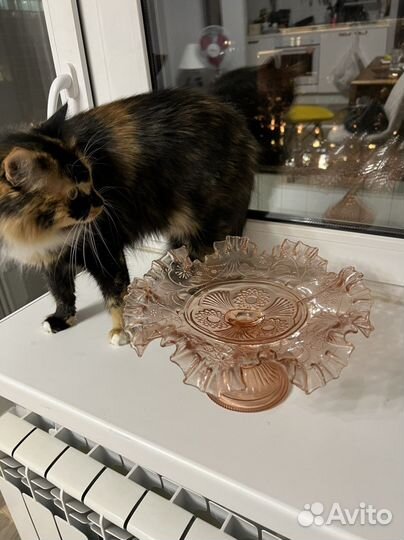 Антикварная ваза Зомбковице