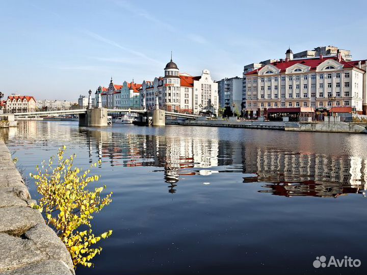 Экскурсия — Калининград — Калининград для новичков