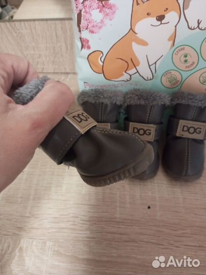 Ботинки для собак мелких пород