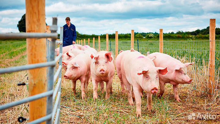 Разнорабочий (Вахта)