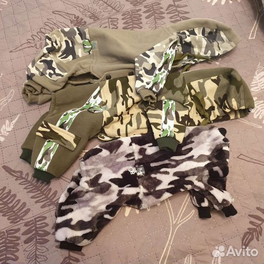 Одежда для собак