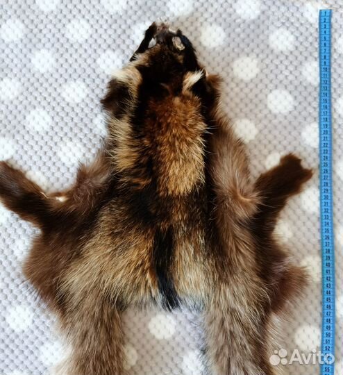 Мех енота шкура