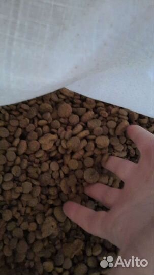 Сухой корм для кошек и собак Пурина Ван