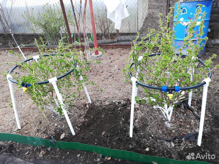 Арка садовая