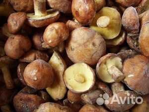 Ягоды, грибы, овощные заморозки, орех